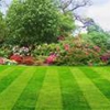 Prestigious  lawn care gallery