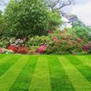 Prestigious lawn care - Lawn Maintenance