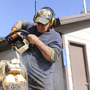 Carve Me A Bear! Chainsaw Carvings - Las Vegas, NV