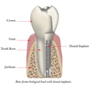 Dental Arts Group - Dental Clinics