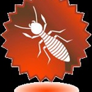 Arizona Termite Control - Pest Control Services