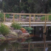 Gallery Image Number 5