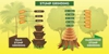 Adolfo Tree Service - Tree Service