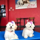 All Dogs Unleashed Dog Training Des Moines - Dog Training
