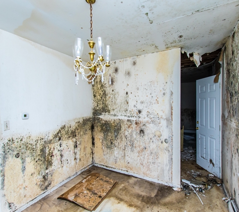 Acclaimed Water Damage and Restoration - Springfield, VA