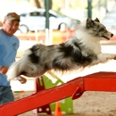 Don's Good Time Agility - Pet Training