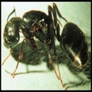 Hill Country Pest Control of Fredericksburg - Pest Control Services-Commercial & Industrial