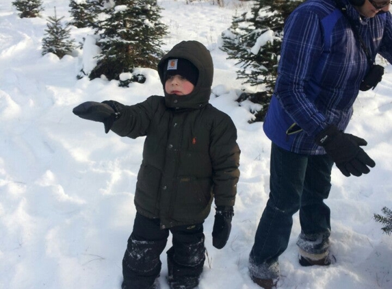 Hansen Tree Farm - Anoka, MN