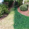 Affordable Grass Painting Service