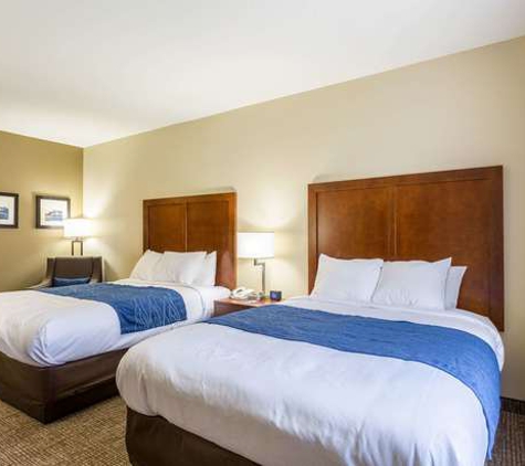 Comfort Inn & Suites Airport - Baton Rouge, LA