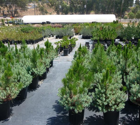 Fallbrook Plant Growers - Fallbrook, CA