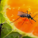 Hiawatha Pest Control - Pest Control Equipment & Supplies