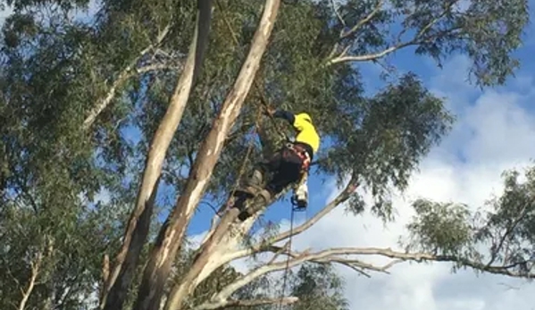 Federation Tree Care - Corowa, NSW