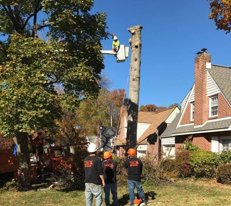 East Coast Tree Service - Claymont, DE