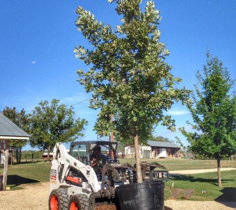 Superior Services Tree Care - Fredericksburg, TX