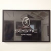 Seismic Games Inc gallery