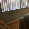National Home Inspection & Mold Services gallery