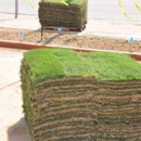 Cornett Grass - Sod & Sodding Service