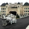 Dream Horse Carriage Company gallery