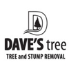Dave's Tree gallery