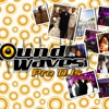 Sound Waves Pro DJs gallery