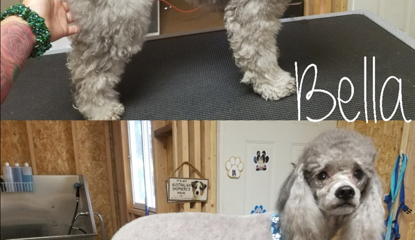 Bella's Suds & Cuts Grooming - Prescott, AZ