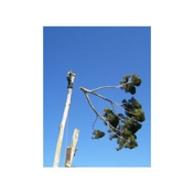 Gallery Image Number 4
