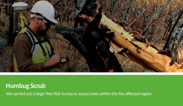 Arborman - Tree Solutions - Port Adelaide, SA. Humbug Scrub