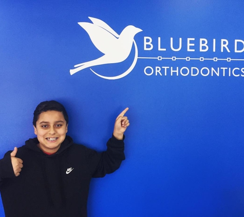 Bluebird Orthodontics - Commack, NY