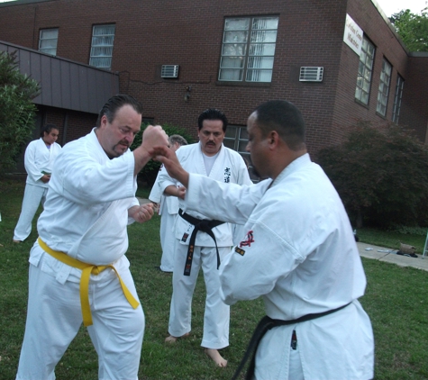 virginia okinawan karate dojo - Alexandria, VA