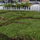 Lawn Teacher - Landscape Contractors