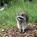 Cochran Pest Control Inc. - Pest Control Equipment & Supplies