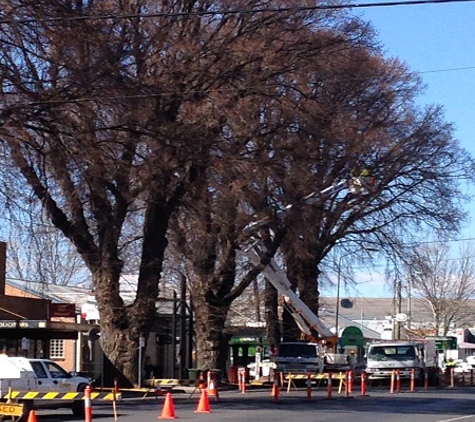 McMahon's Earthmoving & Tree Service - Jindabyne, NSW