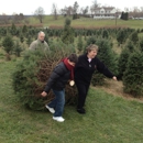 Holiday Tree Farm - Christmas Trees