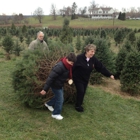 Holiday Tree Farm