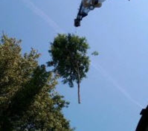 Stumpy's Tree Service - Ashland, MA