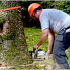 All American Tree Service