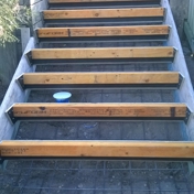 Gallery Image Number 6