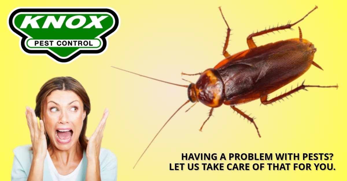 Knox Pest Control 8158 Fortson Business Park Blvd Columbus GA 31909 