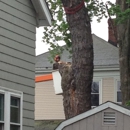 Keith's Tree Service - Arborists