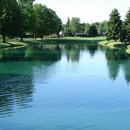 Organic Sediment Removal Systems - Ponds, Lakes & Water Gardens Construction
