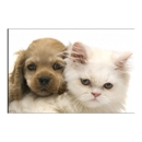 Millcreek Animal Hospital - Pet Services