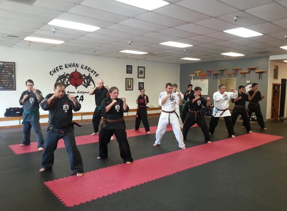 Sher Khan Karate Academy Inc - Elk Grove, CA