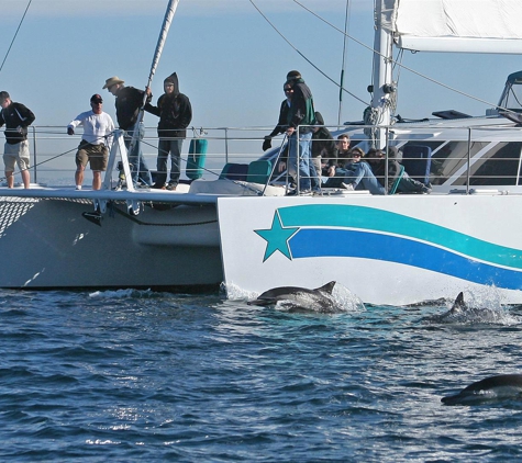 Aolani Catamaran Sailing - San Diego, CA