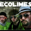 The Ecolimes gallery