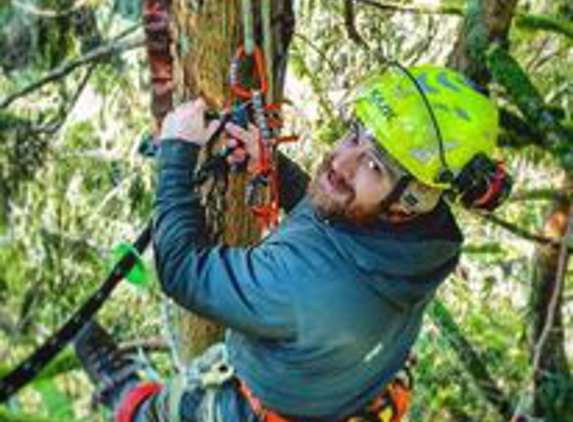 Rain City Tree Works - Snoqualmie, WA