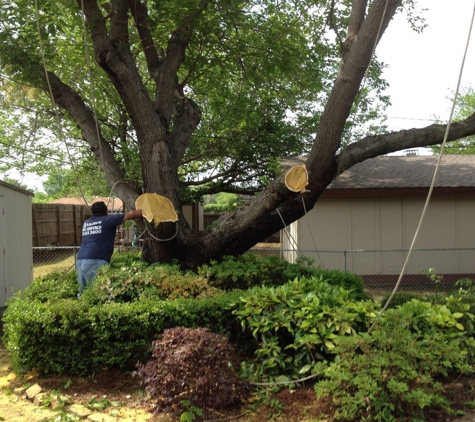 Aaron's Tree Service - Mesquite, TX