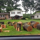 Simons Tree Service - Tree Service