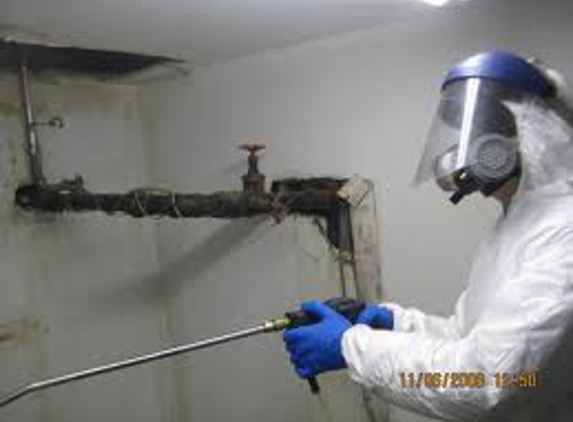 Big Apple Mold Removal - Lawrence, NY