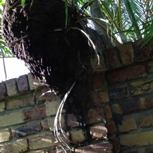 Rockingham Pest Control - Waikiki, WA